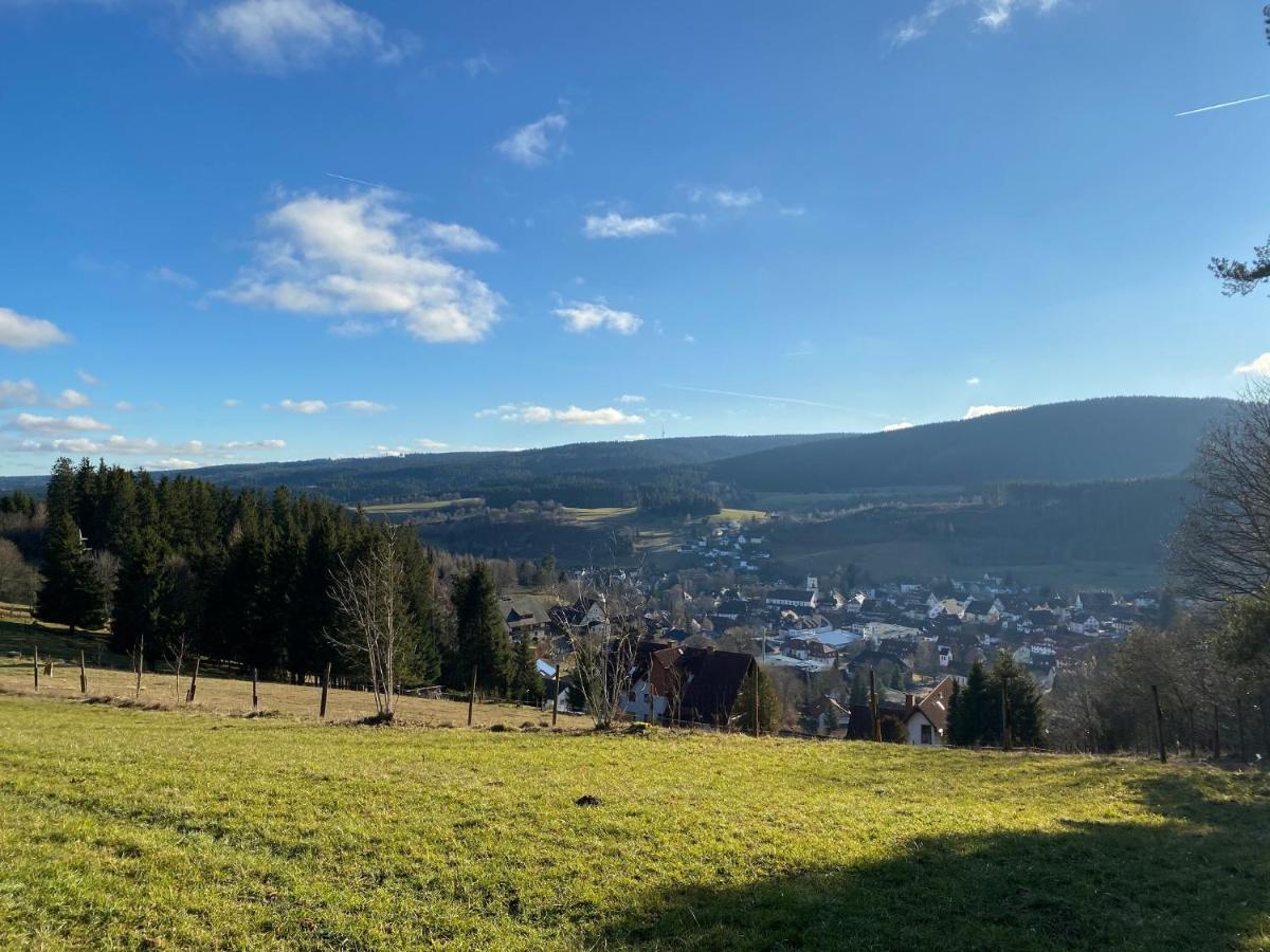 Apartamento Auszeit Im Schwarzwald Lenzkirch Exterior foto