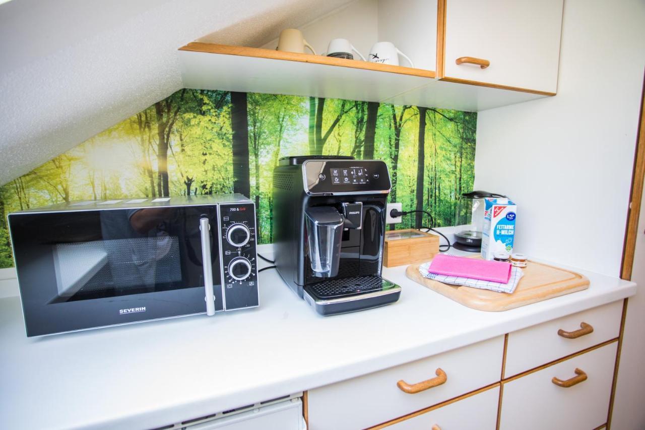 Apartamento Auszeit Im Schwarzwald Lenzkirch Exterior foto